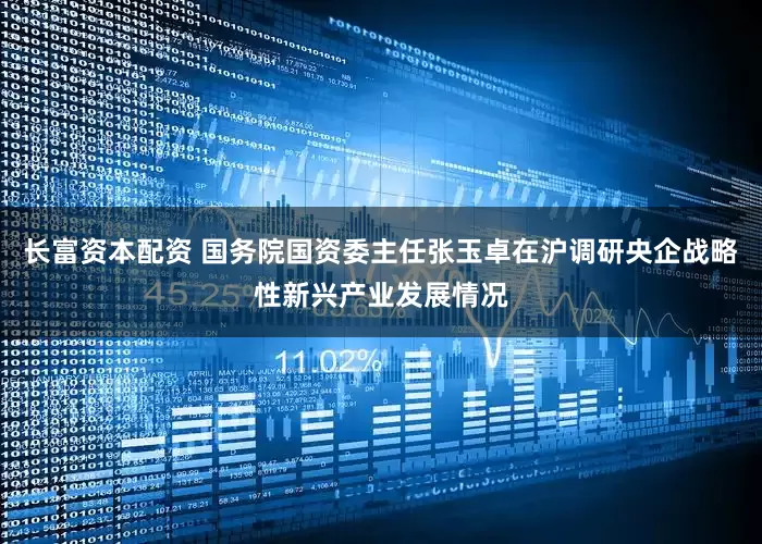长富资本配资 国务院国资委主任张玉卓在沪调研央企战略性新兴产业发展情况